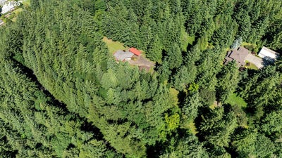/international/us/19609-se-wooded-hills-dr-damascus-or-110101142790/?lang=fr