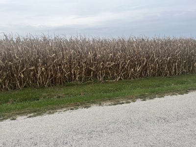 /international/us/1293-county-road-2400-e-st-joseph-il-110120039098/