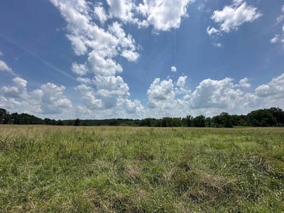 /international/us/2-county-road-347-philadelphia-ms-110101169807/
