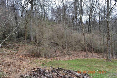 /international/us/lot-48-poplar-street-jane-lew-wv-110101270016/?lang=id