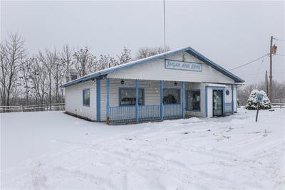 /international/us/300-watkins-road-horseheads-ny-110104118475/