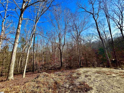 /international/us/sutton-cove-court-lot-72-westminster-sc-110104583547/