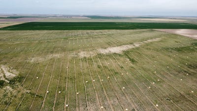 /international/us/county-road-3p-arriba-co-110101434431/