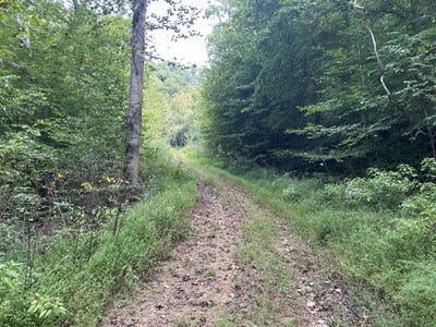 /international/us/9999-little-leatherwood-creek-road-cornettsville-ky-110110279976/