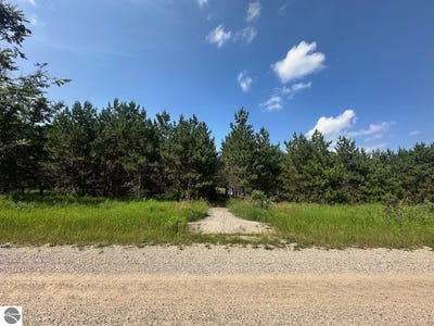 /international/us/7304-hemstreet-road-bellaire-mi-110101074261/?lang=zh-tw
