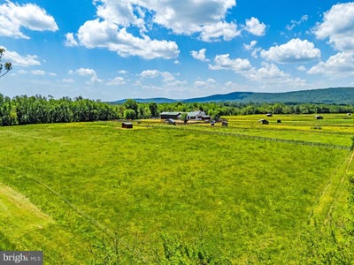 /international/us/0-morrisonville-lovettsville-va-110108259782/