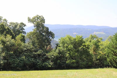 /international/us/lot-168-feldspar-rd-new-tazewell-tn-110101136855/?lang=zh-tw