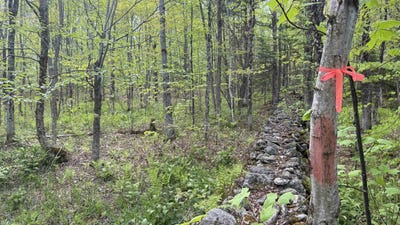 /international/us/potter-road-lowell-vt-110107797209/