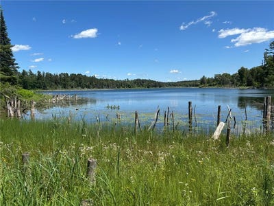 /international/us/13102-seaberg-lane-bagley-mn-110097347428/
