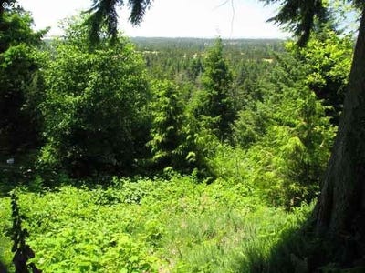 /international/us/ocean-view-dr-florence-or-110001330608/