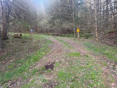 /international/us/bramley-mountain-road-stamford-ny-110107827340/