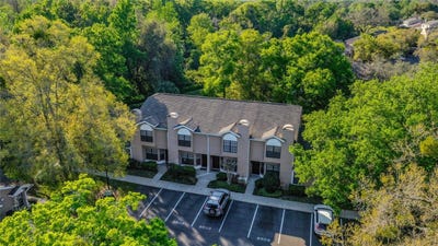 /international/us/5100-burchette-road-tampa-fl-110100894885/