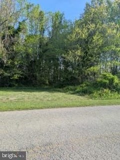 /international/us/300-queens-colony-high-rd-stevensville-md-110107384310/