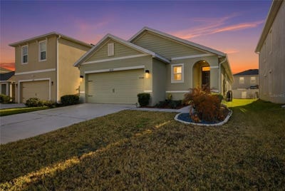 /international/us/8204-pelican-reed-circle-wesley-chapel-fl-110120528877/