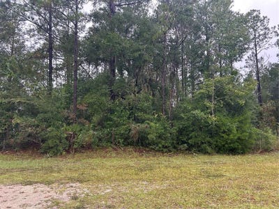 /international/us/ne-77th-court-bronson-fl-110120150731/