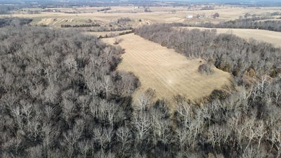 /international/us/140th-road-lot-4-morrisville-mo-110105525362/