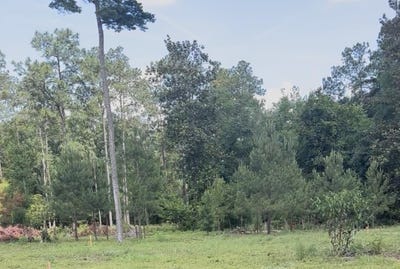 /international/us/4914-old-federal-road-quincy-fl-110101003567/?lang=zh-tw