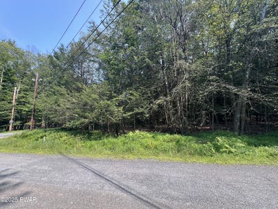/international/us/lot-209-cygnus-road-lake-ariel-pa-110101425233/