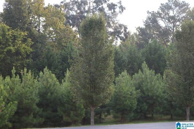 /international/us/251-parkview-drive-lot-34-sylvan-springs-al-110072270768/