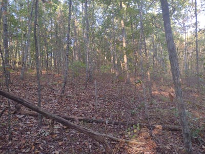 /international/us/00-gray-rock-view-pikeville-tn-110095501456/