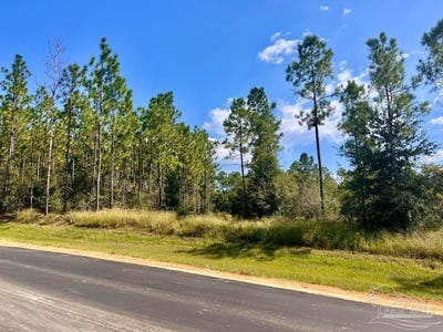 /international/us/morgans-branch-lot-30-molino-fl-110102661804/
