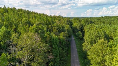 /international/us/county-road-63-n-carbon-hill-al-110101478303/?lang=de