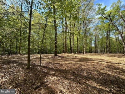 /international/us/12636-mill-dam-drive-clifton-va-110100420762/?lang=zh-tw