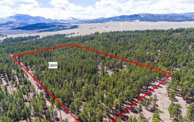 /international/us/44-ponderosa-douglas-wy-110098954770/