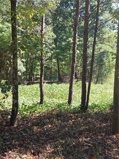 /international/us/1075-augusta-hicks-road-walnut-cove-nc-110120486931/