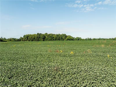 /international/us/sycamore-road-centerburg-oh-110109992465/