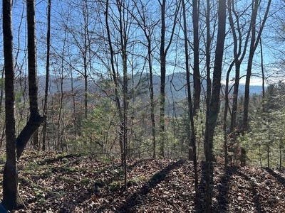 /international/us/camp-branch-topton-nc-110104599176/
