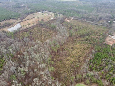 /international/us/marengo-county-rd-15-sweet-water-al-110106228538/