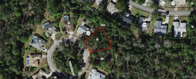 /international/us/9-blue-beech-court-homosassa-fl-110100947031/?lang=zh-cn