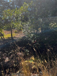 /international/us/3236-gleason-street-cambria-ca-110102431741/