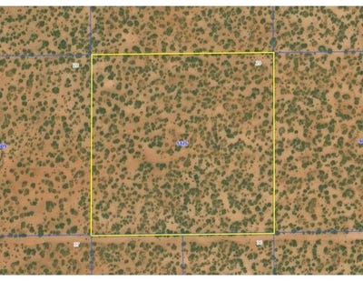 /international/us/van-horn-tx-110106614447/