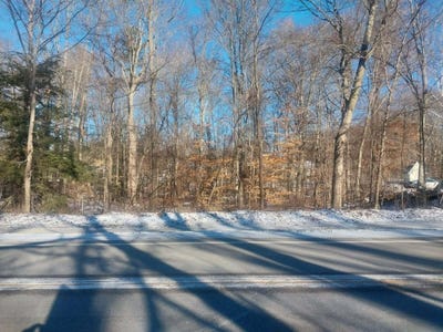 /international/us/142nd-avenue-lot-b-dorr-mi-110104904952/