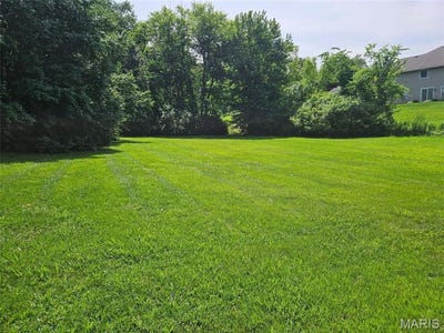 /international/us/1170-san-juan-drive-edwardsville-il-110108532434/