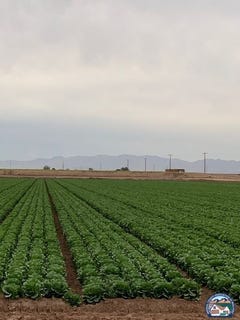 /international/us/453-e-abatti-rd-heber-ca-110100314644/