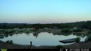 /international/us/221-223-five-gate-road-other-nm-110101212580/