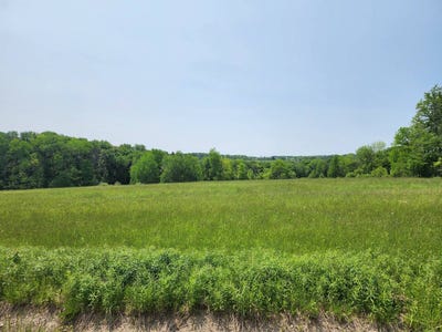 /international/us/0-county-road-13-ripley-ny-110100186306/