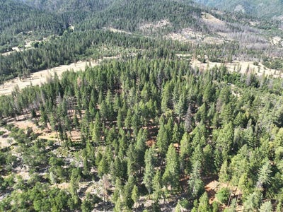 /international/us/159-buck-lane-hayfork-ca-110100765272/