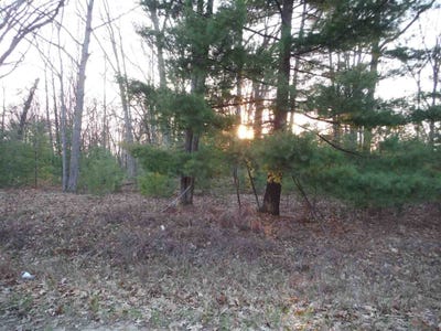 /international/us/indian-oaks-lot-2-prudenville-mi-110062377076/