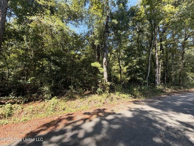 /international/us/bobwhite-lane-lot-324-lucedale-ms-110110320931/