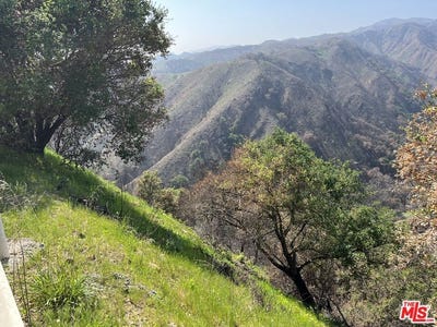 /international/us/1785-alta-mura-rd-rd-pacific-palisades-ca-110098835752/