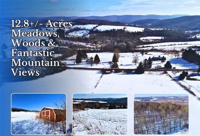 /international/us/hamden-hill-road-lot-41-42-hamden-ny-110104977154/