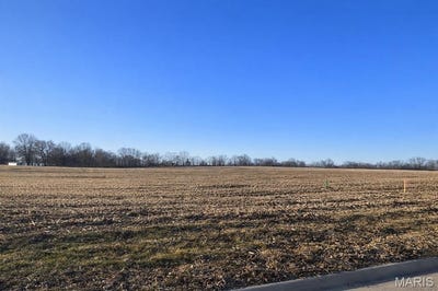 /international/us/2261-staunton-road-troy-il-110104964674/