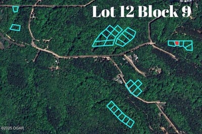 /international/us/block-9-piney-woods-e-332-loop-lot-12-jay-ok-110110175684/