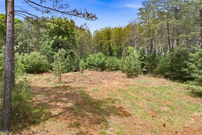 /international/us/51-3-acres-hall-road-westminster-sc-110106493671/