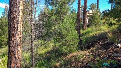 /international/us/213-snow-park-rd-alto-nm-110120138677/