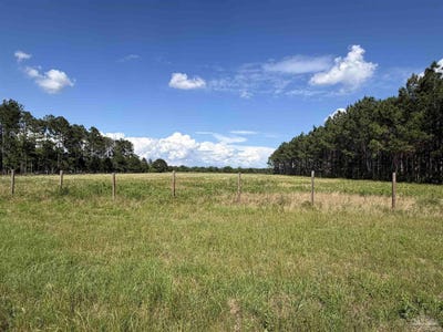 /international/us/4400-blk-n-hwy-99-walnut-hill-fl-110108171015/